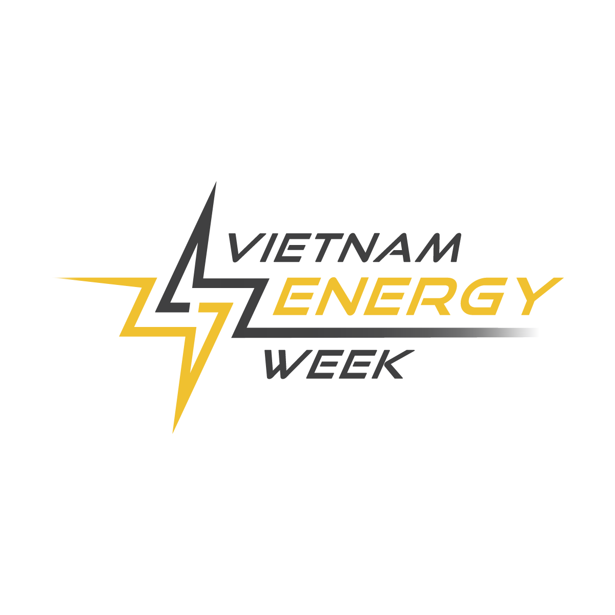 Electric & Power Vietnam logo